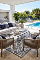 Alaska Indoor Outdoor 08 Grey Cream Rug — AI styled visualisation