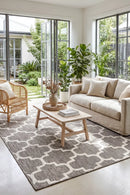 Alaska Indoor Outdoor 68 Beige Rug — styled indoor setting