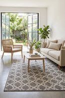 Alaska Indoor Outdoor 92 Beige Rug — styled indoor setting