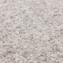 Asiatic Barnaby Silver Rug