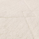 Asiatic Fes 03 Rug