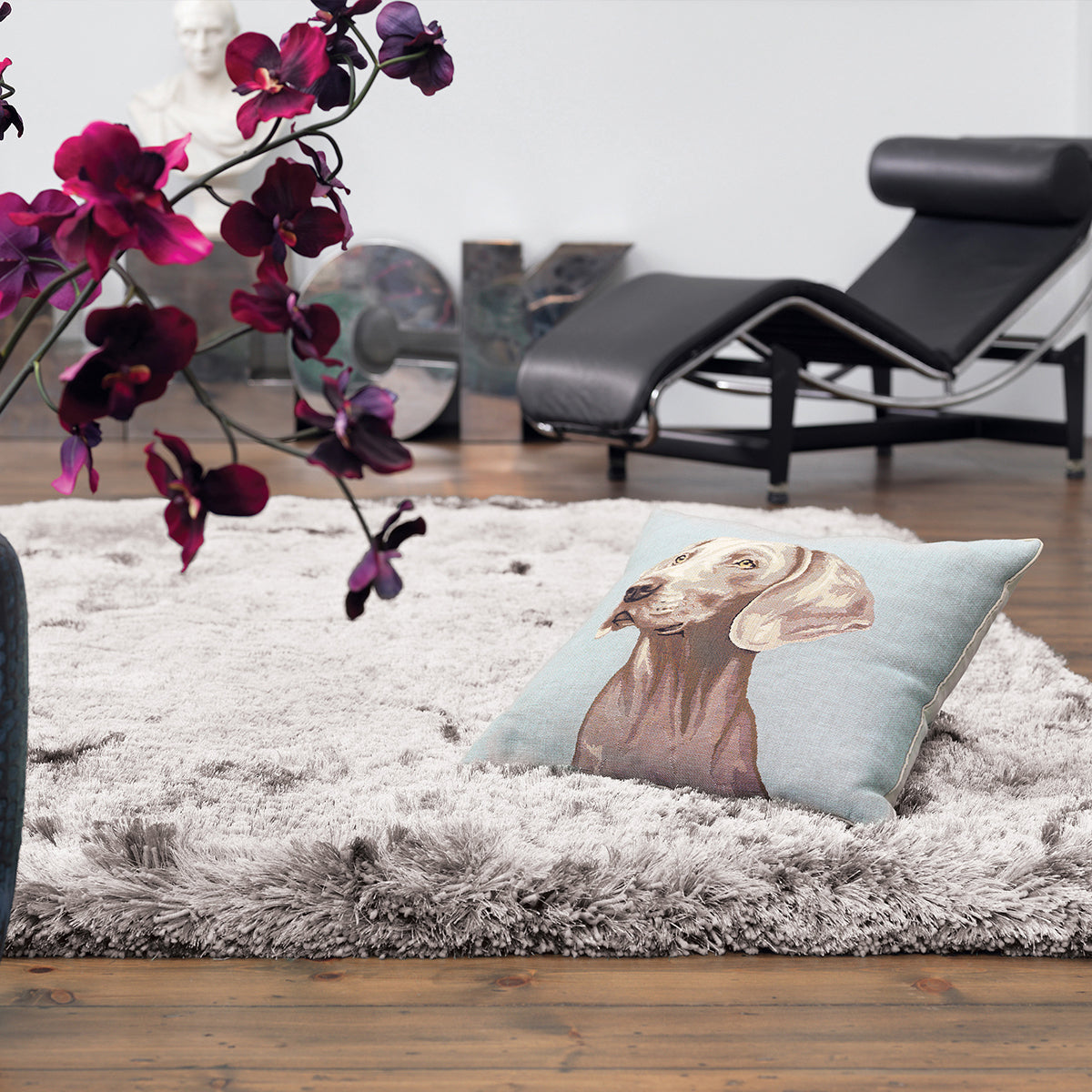 Asiatic Plush Silver Rug