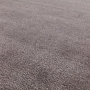 Asiatic Rise Charcoal Rug