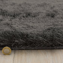 Asiatic Whisper Graphite Rug