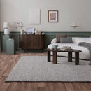 Asiatic Zander Charcoal Rug