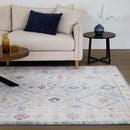 Chetak Multicolour Distressed Rug