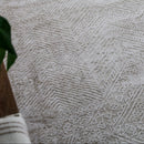 Corin Beige Distressed Rug