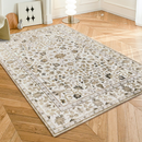 Dhruv Multicoloured Distressed Machine Washable Rug