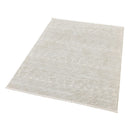 Erika Grey Distressed Rug