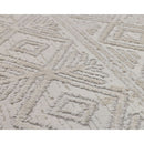 Erika Grey Distressed Rug