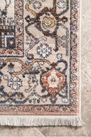 Heriz Mushroom Traditional Rug