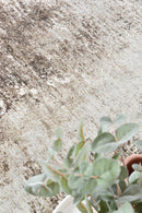 Contemporary Cove Meliora Rug