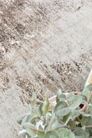 Contemporary Cove Meliora Rug