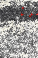 Dahlia 176 Grey Red Rug