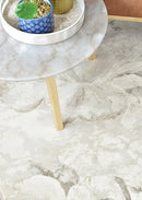 Contemporary Cove Dove 6575 Rug