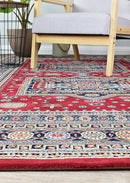 Zeus Red Medallion Rug