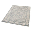 Samsun Traditional Distressed Rug