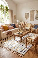 Amsterdam Polka Multi Rug — AI styled visualisation