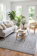 Colorado Blueray Outdoor Rug — styled indoor setting
