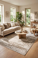 Carmel Beige Indoor Outdoor Rug — styled indoor setting