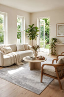 Carmel Silver Indoor Outdoor Rug — styled indoor setting