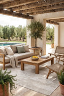 Carmel Cream Indoor Outdoor Rug — AI styled visualisation