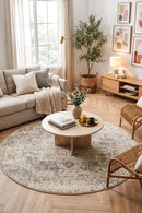 Evoke Dream White Silver Transitional Round Rug — AI styled visualisation