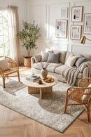Evoke Shine Silver Transitional Rug — AI styled visualisation