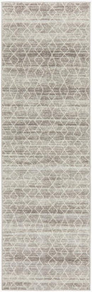 Evoke Remy Silver Transitional Rug